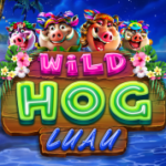 Wild Hog Luau RTG Slot Review