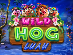 Wild Hog Luau RTG Slot Review